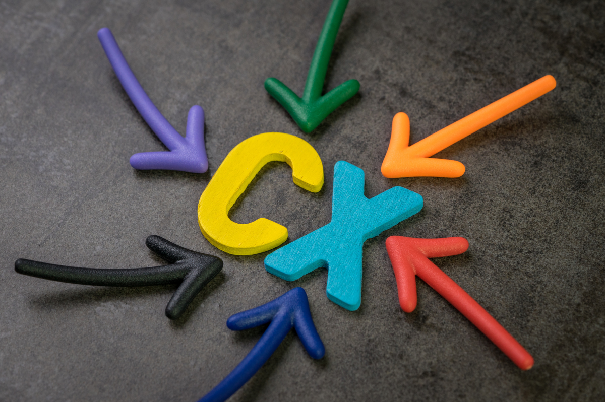 6 Arrows point to customer Experience